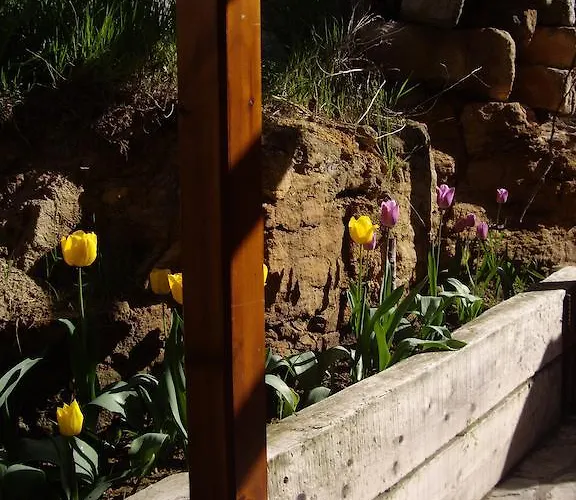 Masecicos Lägenhet *